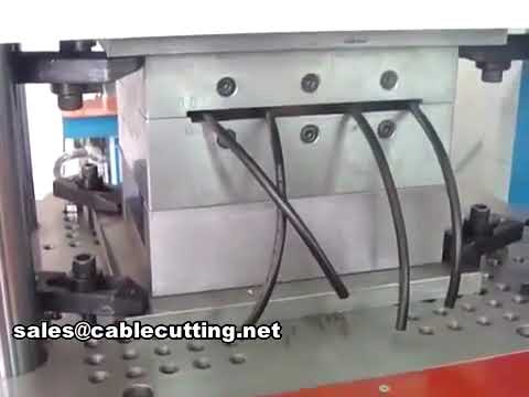 南非標準三插頭電源線注塑成型機 JY-450ST | 高效自動化生產設備