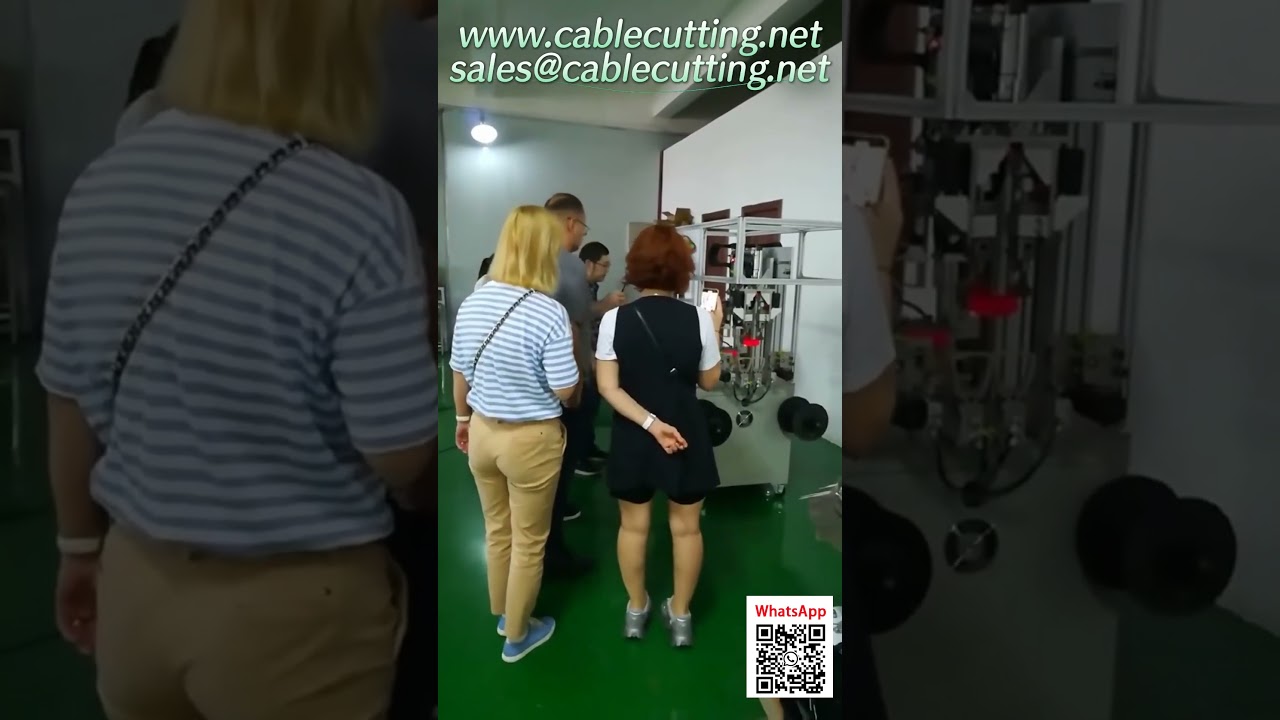 割草線繞線與打結機 俄羅斯客戶工廠驗收測試 (FAT)