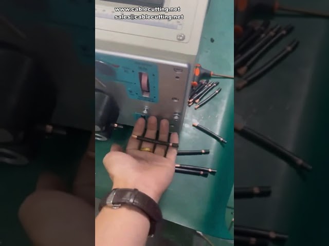 10SQMM電線裁切剝皮機｜高效自動化線材加工設備