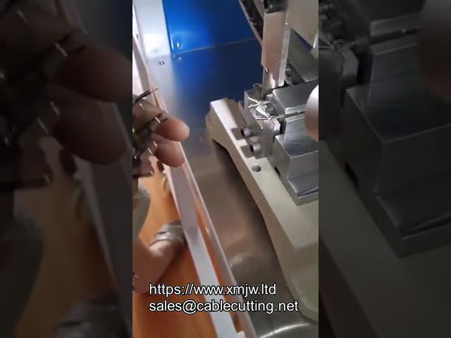 半自動2pin插入式端子壓接機｜高效線束組裝設備