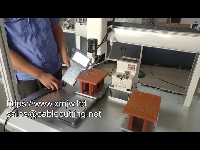 6331 大型智能伺服馬達鎖螺絲機｜落地式自動鎖螺絲設備｜高效能自動化組裝