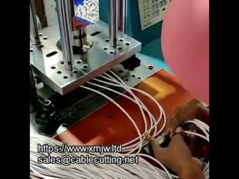 WPM 150 標準型射出成型機｜高效穩定塑膠零件生產設備