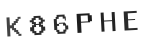 Verification Code Image
